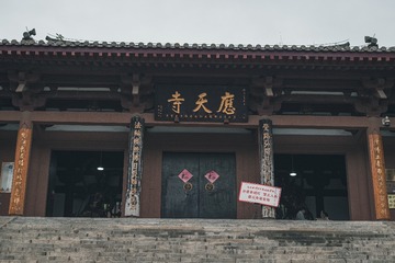 84631