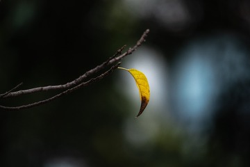116060