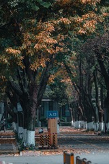 120905