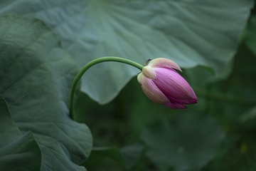 57206