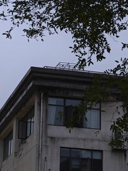 1000019516