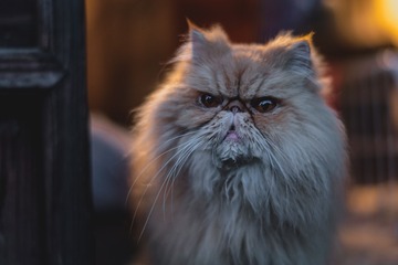 112196