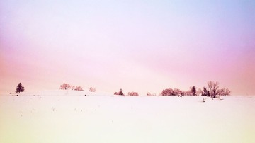 WP_201401191_076