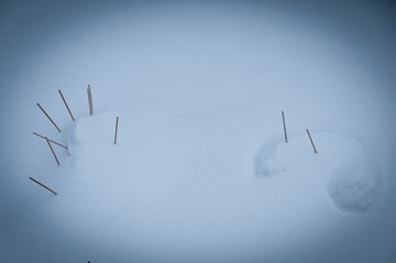 20131126-DSC_8025