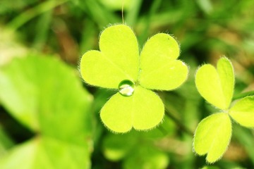 IMG_5423.JPG