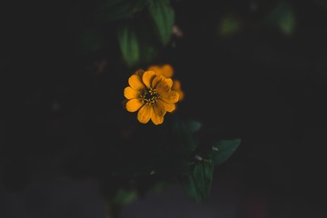 161186