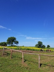 1000072565
