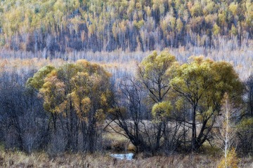 _DSC5291a