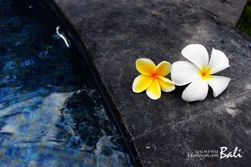 IMG_0178_2.jpg