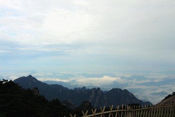 IMG_1452_副本.jpg