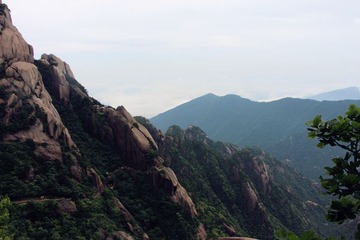 IMG_1463_副本.jpg