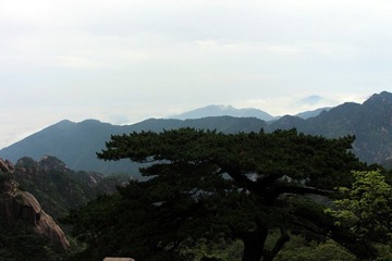 IMG_1470_副本.jpg