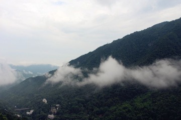 IMG_1499_副本.jpg