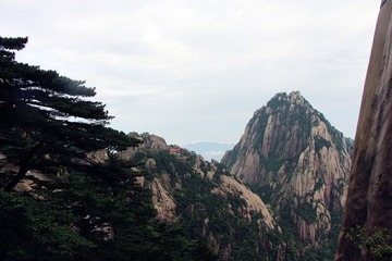 IMG_1481_副本.jpg