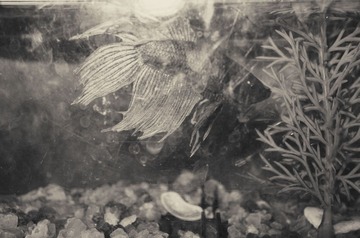 R0012941