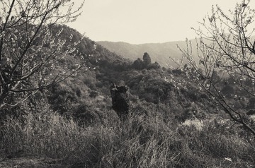 R0013115