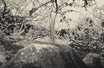 R0013183