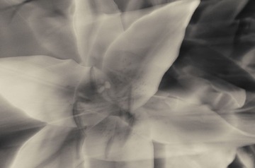 R0013187