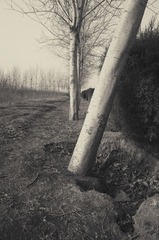 R0013216