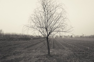 R0013233