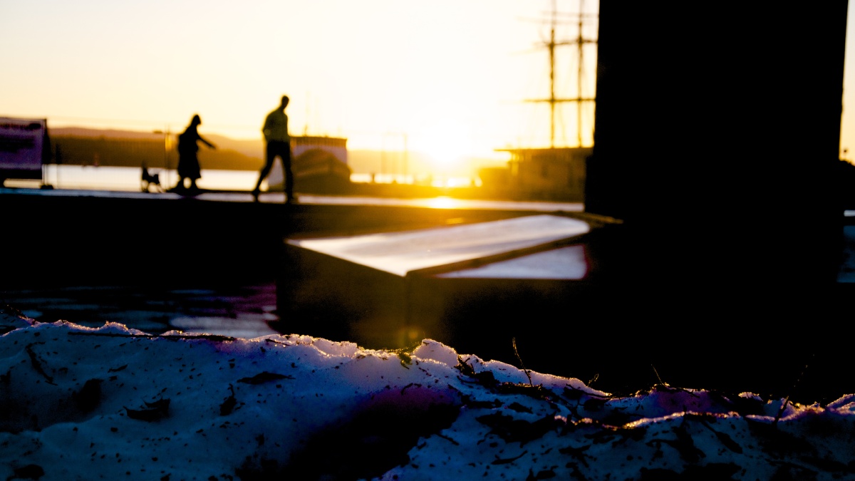 奥斯陆冬季3点钟的阳光照在雪地上,一片金黄