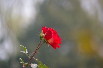 629610