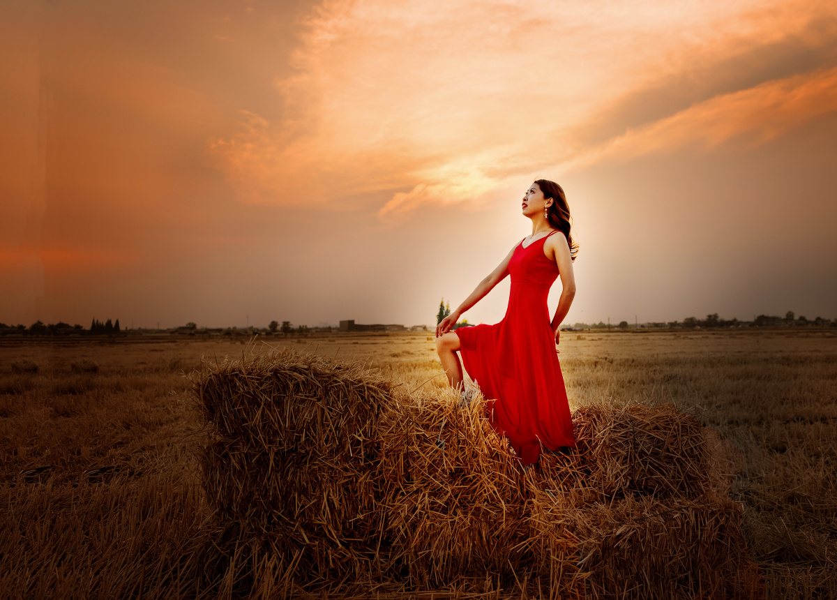 场景丰收的麦田出镜浅笑心柔摄影韩易