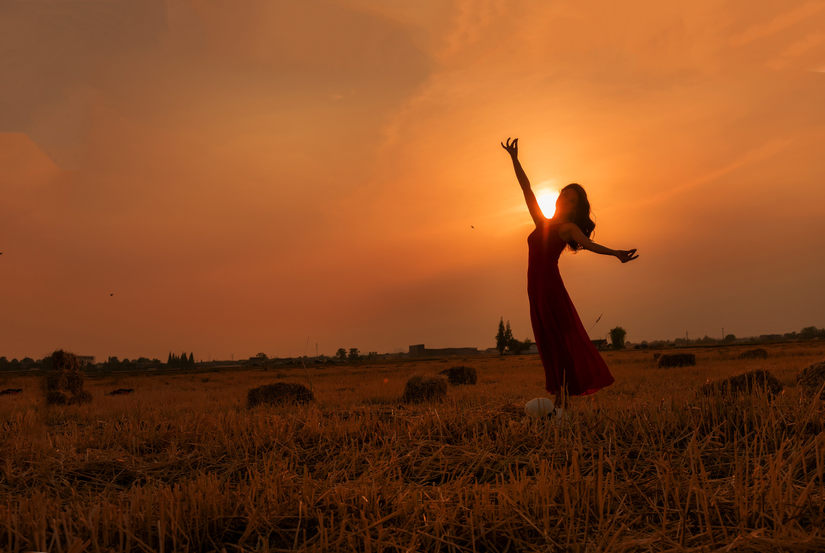 场景丰收的麦田出镜浅笑心柔摄影韩易