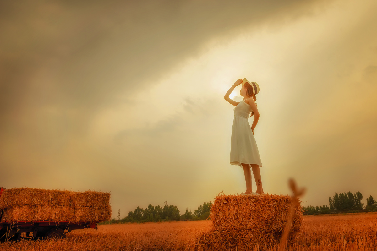 场景丰收的麦田出镜浅笑心柔摄影韩易