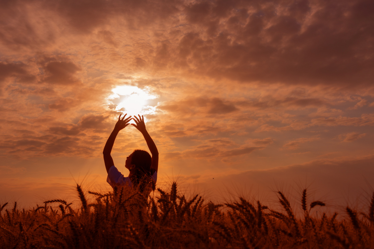 场景丰收的麦田出镜浅笑心柔摄影韩易