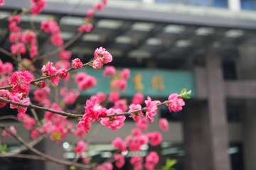 SAM_0399