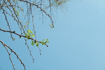 SAM_0483