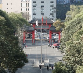 SAM_0505