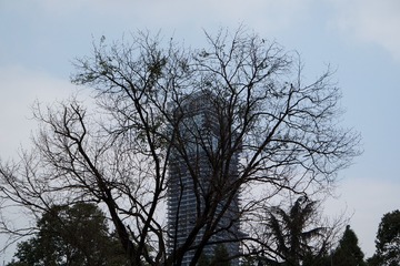 SAM_0408