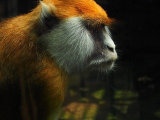 P8270139