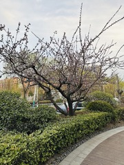 978A4799-2386-4D9C-BAED-BEE02FAA0234/L0/001