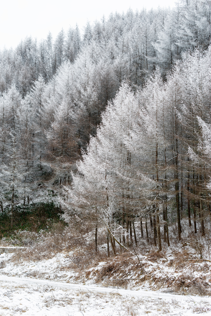 奉节县茅草坝雪景