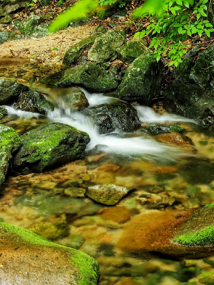 山谷小溪