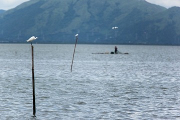 IMG_9939.jpg