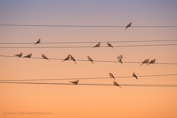 16083209962_d2fa7e084c_o