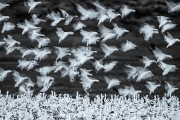 New Mexico-01360-Edit-Edit