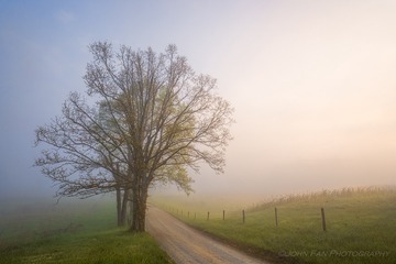 untitled-06152-Edit