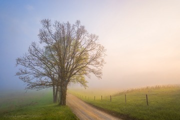 untitled-06152-Edit-Edit