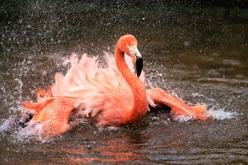 Florida-03979