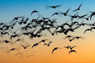 untitled-00524-Edit-Edit-Edit.jpg