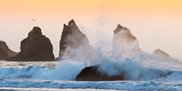 Oregon-01433-Edit-Edit.jpg