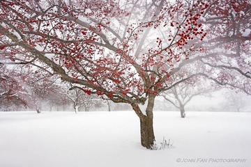Morton-03991-Edit