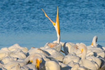 Florida-09112-Edit