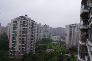 IMGP0004.JPG