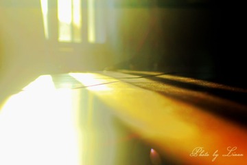 IMG_3027___